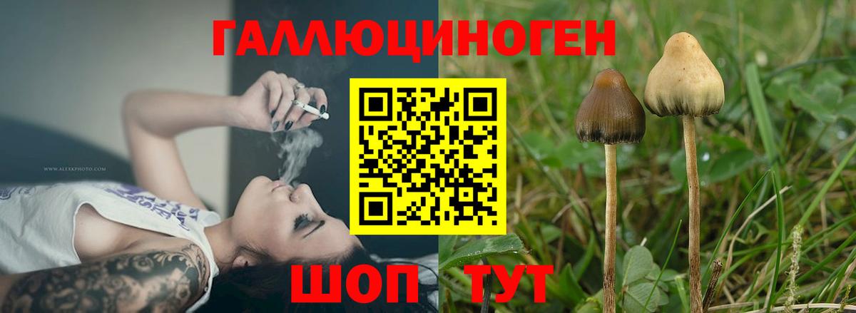 Красноуфимск  Галлюциногенные грибы мицелий  Вход с VPN  купить   Псилоцибиновые грибы Psilocybine cubensis 